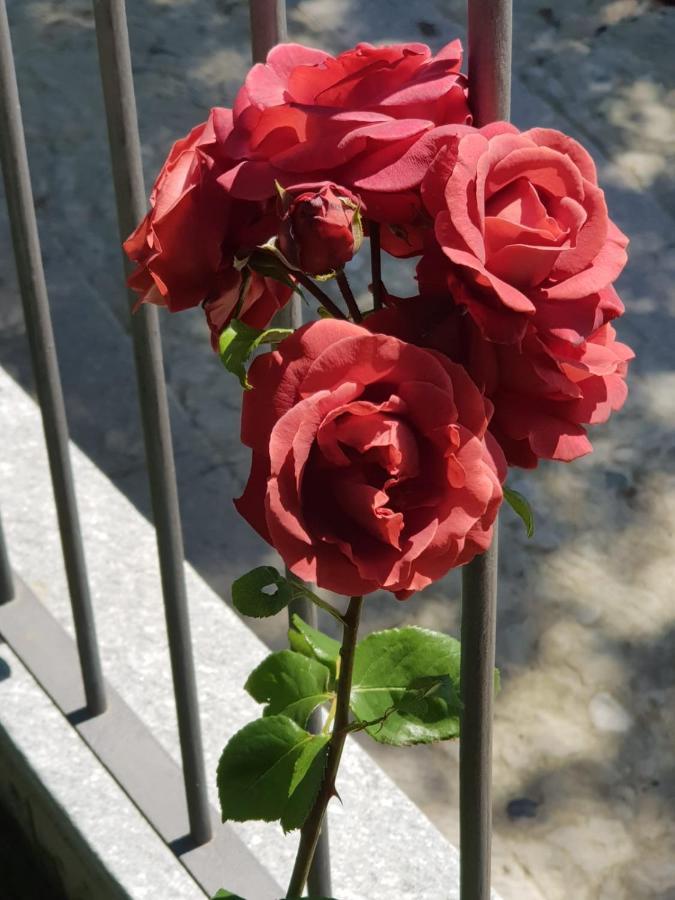 Ca D'Valur Bed & Breakfast Aramengo Dış mekan fotoğraf