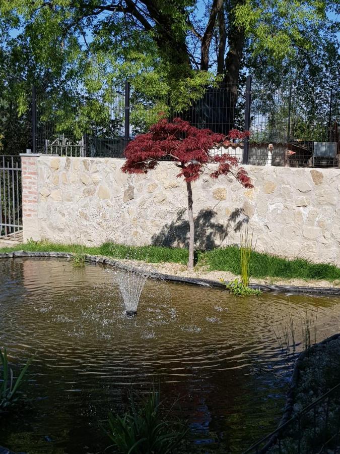 Ca D'Valur Bed & Breakfast Aramengo Dış mekan fotoğraf